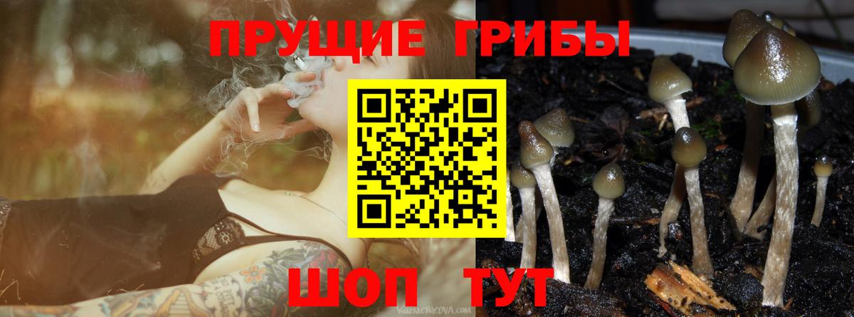 Волжск  Галлюциногенные грибы MAGIC MUSHROOMS  Вход с VPN 